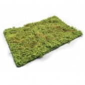 Žolės kilimėliai
