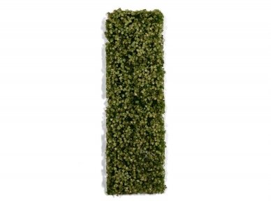 AK Interactive - Platane Foliage Summer, AK8146 1 AK Interactive - Platane Foliage Summer, AK8146 1