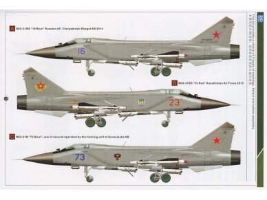 SIO Models - Mikoyan MiG-31 B/BS Foxhound, 1/48, K48002 11