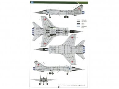 SIO Models - Mikoyan MiG-31 B/BS Foxhound, 1/48, K48002 12