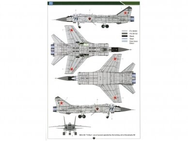 SIO Models - Mikoyan MiG-31 B/BS Foxhound, 1/48, K48002 14