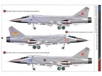AMK - Mikoyan MiG-31B/BS Foxhound, 1/48, 88008 10