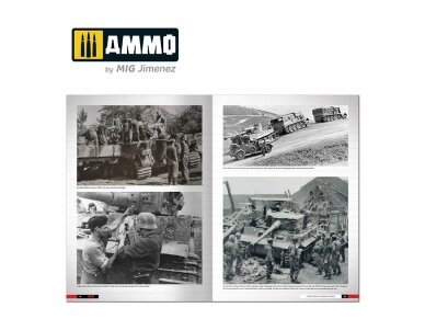 AMMO MIG - Tigers – Modelling the Ryefield Family (English), 6273 2