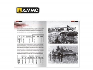 AMMO MIG - The Battle of KURSK (English), 6277 6