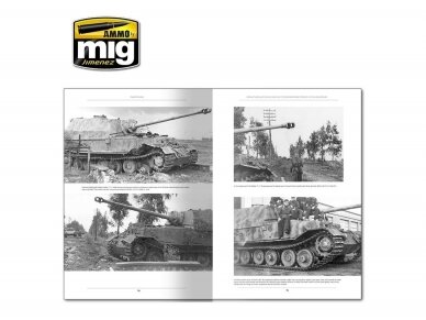 AMMO MIG - ITALIENFELDZUG. GERMAN TANKS AND VEHICLES 1943-1945 VOL.1 (English), 6261 7