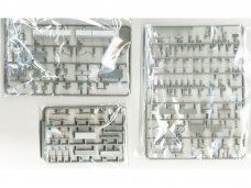 Border Model - Sd.Kfz.251/1 Ausf.D, 1/35, BT-041