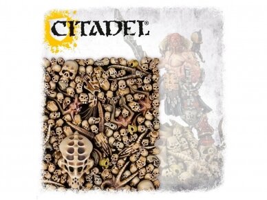 Citadel Skulls, 64-29 1