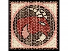 CUIT - Mozaika, Zodiakas Ožiaragis, 20x20, 2.201