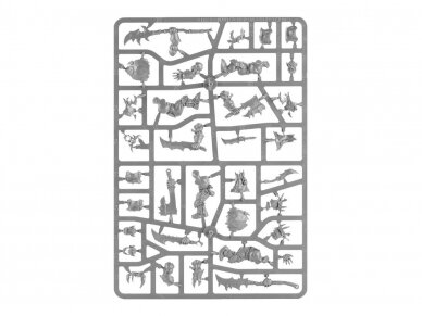 Brutes, 89-29 6