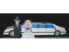 Wektor - White limousine, 1/25, WEK34