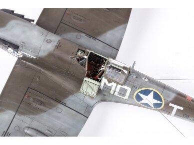 Eduard - Limited Edition Eagle's Call Dual Combo (Supermarine Spitfire), 1/48, 11149 4