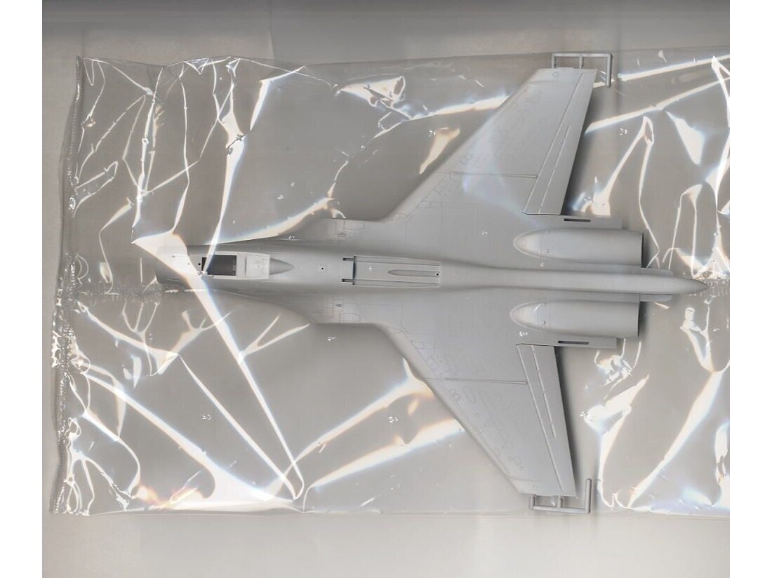Hasegawa - Su-33 Flanker D (Russian Navy Carrier-Borne Fighter), 1/72, 01565 7