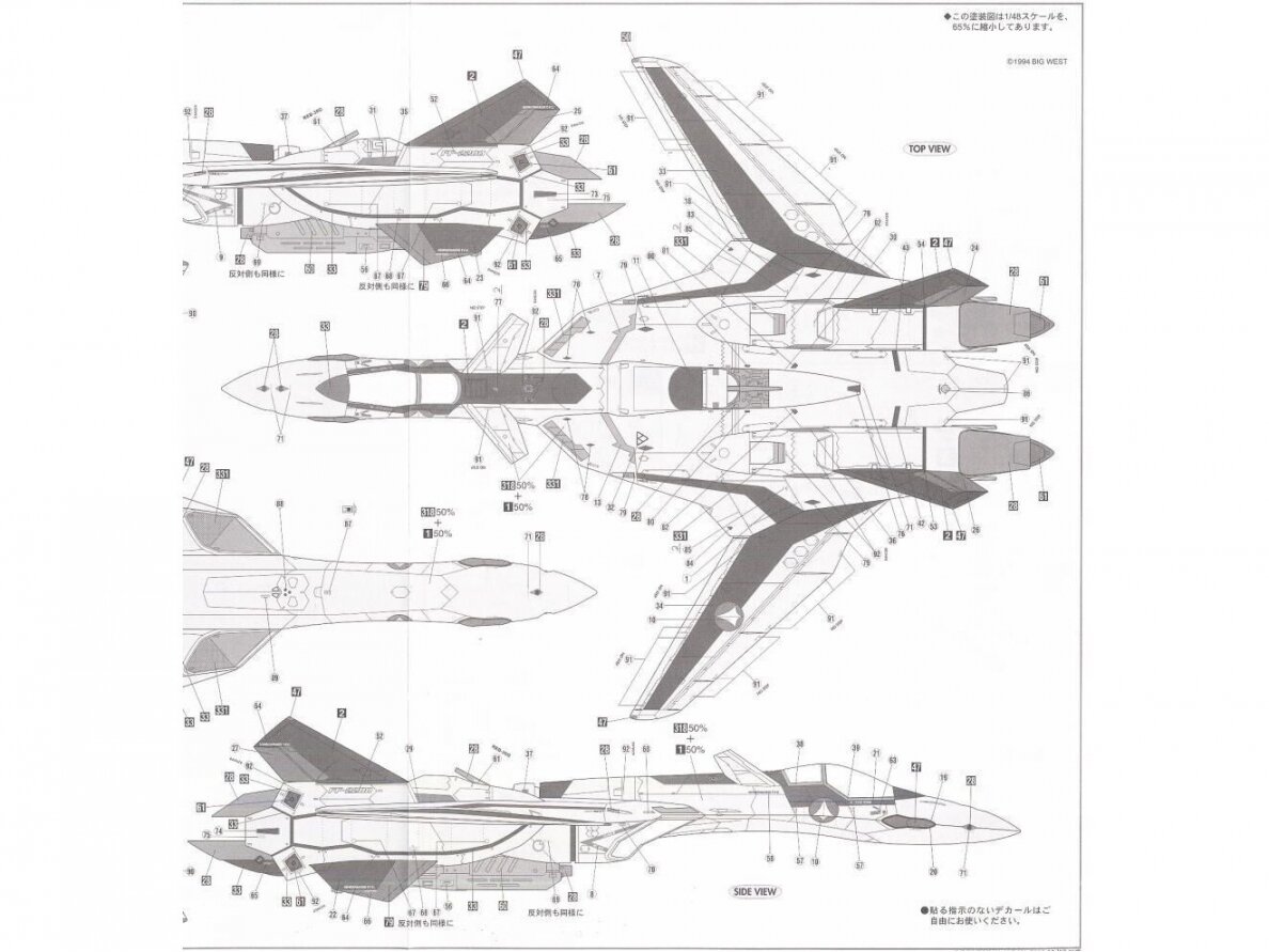 Hasegawa - Macross Plus YF-19, 1/48, 65651 9 Hasegawa - Macross Plus YF-19, 1/48, 65651 9