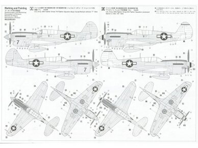 Hasegawa - Curtiss P-40N Warhawk 'Natural Metal Aces', 1/48, 07516 6
