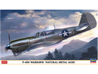 Hasegawa - Curtiss P-40N Warhawk 'Natural Metal Aces', 1/48, 07516