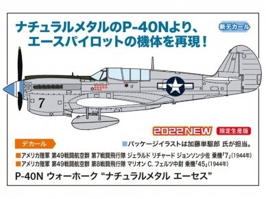 Hasegawa - Curtiss P-40N Warhawk 'Natural Metal Aces', 1/48, 07516 2