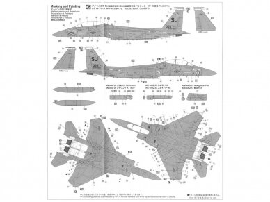 Hasegawa - F-15E Strike Eagle, 1/72, 01569 6