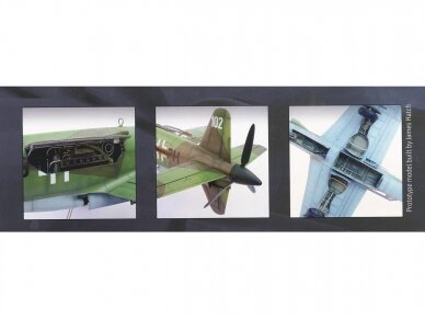 HK Models - Dornier Do 335 A Fighter Bomber, 1/32, 01E08 2