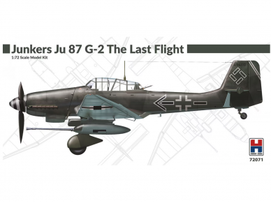 Hobby 2000 - Junkers Ju 87 Stuka G-2 The Last Flight, 1/72, 72071