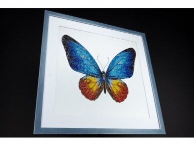 Miniart - Miniart Crafts: Blue butterfly, 11017 2