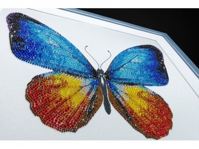 Miniart - Miniart Crafts: Blue butterfly, 11017 3