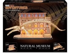 Revell - Puidust konstruktor Tiny Adventures - Natural Museum Blue Whale, 00620 Revell - Puidust konstruktor Tiny Adventures - Natural Museum Blue Whale, 00620