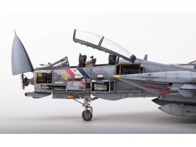 SIO Models - F-14D Super Tomcat, 1/48, K48003 4