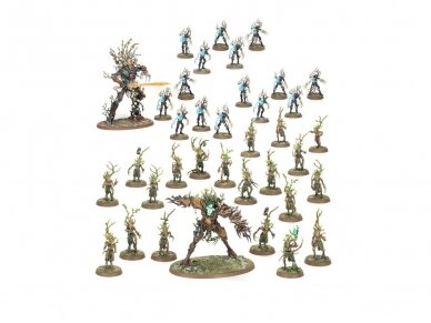 Sylvaneth: Outcast Spitegrove, 92-31 1 Sylvaneth: Outcast Spitegrove, 92-31 1