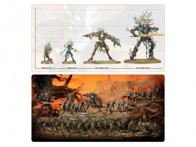 Sylvaneth: Outcast Spitegrove, 92-31 16 Sylvaneth: Outcast Spitegrove, 92-31 16