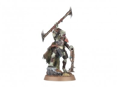 T'au Empire: Kroot Hunting Pack army set, 56-66 2