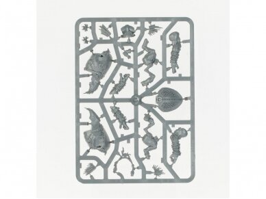 T'au Empire: Kroot Hunting Pack army set, 56-66 20