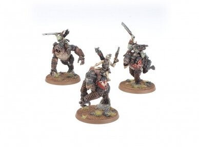 T'au Empire: Kroot Hunting Pack army set, 56-66 4