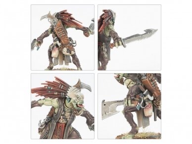 T'au Empire: Kroot Hunting Pack army set, 56-66 8